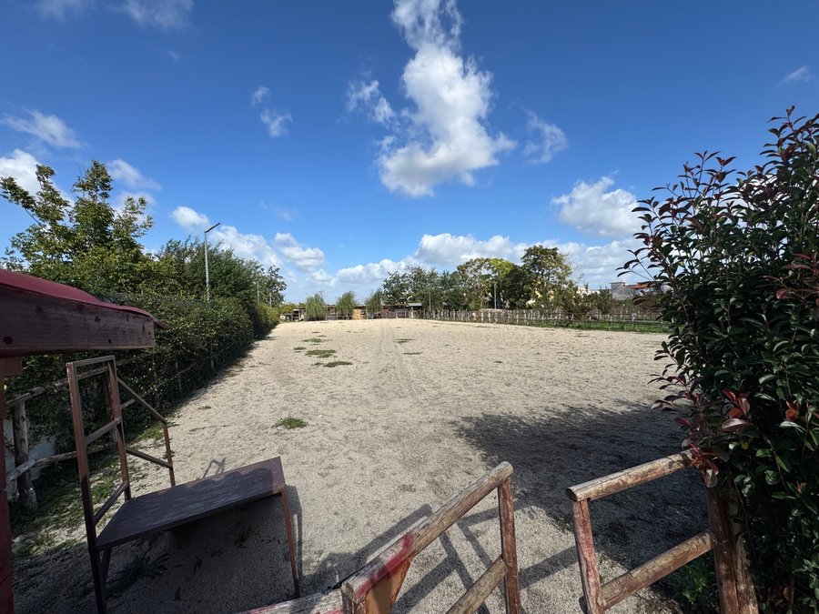 Campo di equitazione