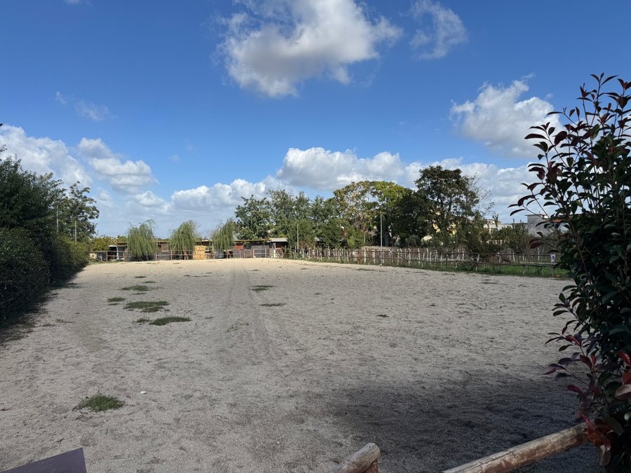 Campo di equitazione